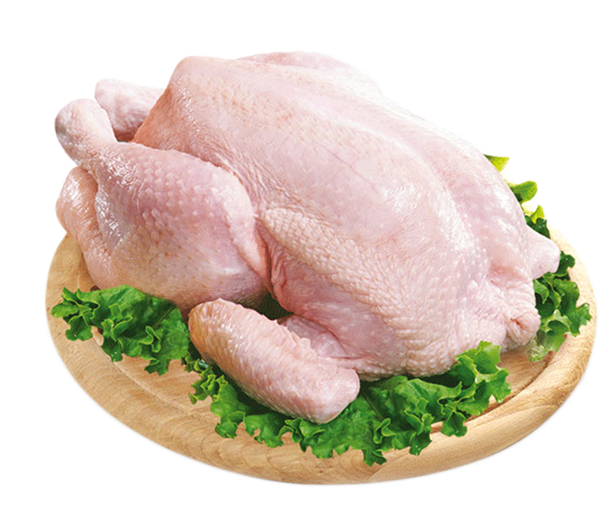 http://egyptianfarmgrocery.com/cdn/shop/products/meat-broiler-bird-chicken-anser-meat-2fda6e330747a6ae4feec25a2743c69c.png?v=1675274100