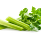 French Celery