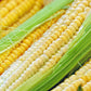 Farms Corn