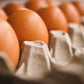 Organic Eggs 'Red'